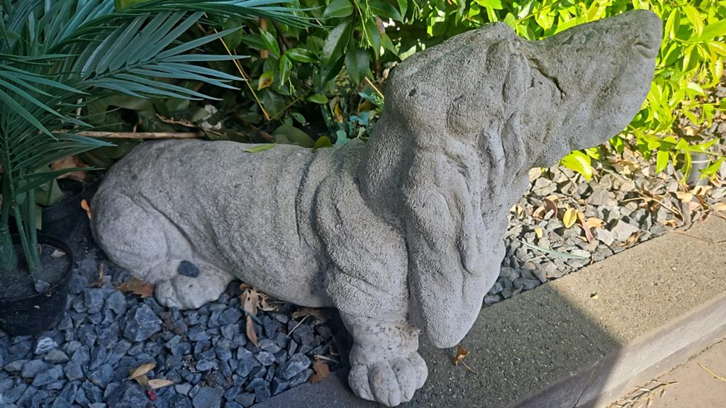 Betonnen Basset Hound Tuinbeeld, Ophalen, Gebruikt, Beton, Dierenbeeld