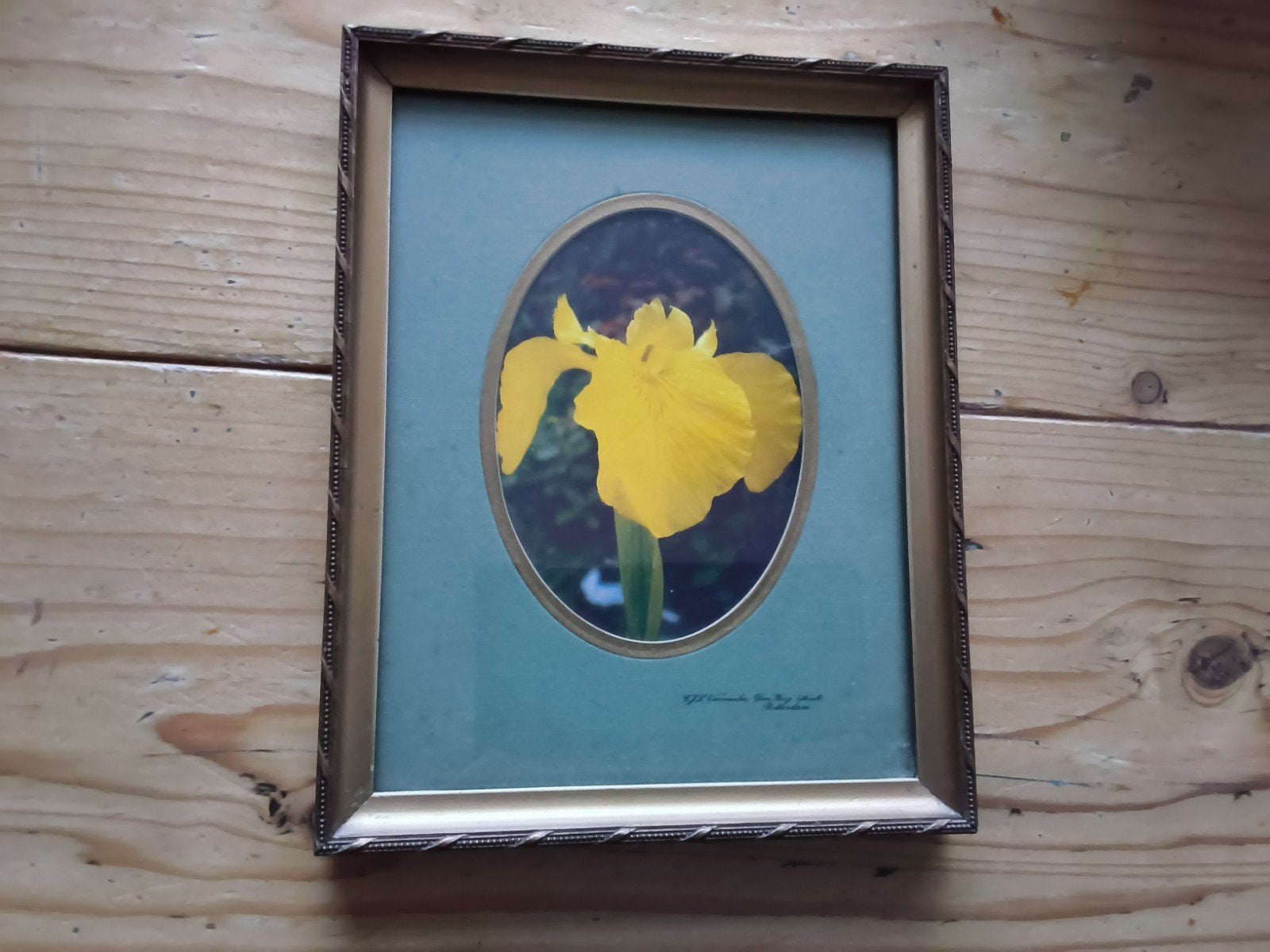 fotolijstjes, Bruin, Ophalen of Verzenden, Fotolijst, Hout