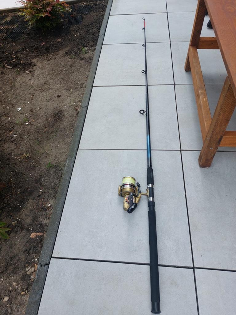 Artist boot 2.4m 200-300g werphengel met Daiwa GS-9 molen, Ophalen, Gebruikt, Molen