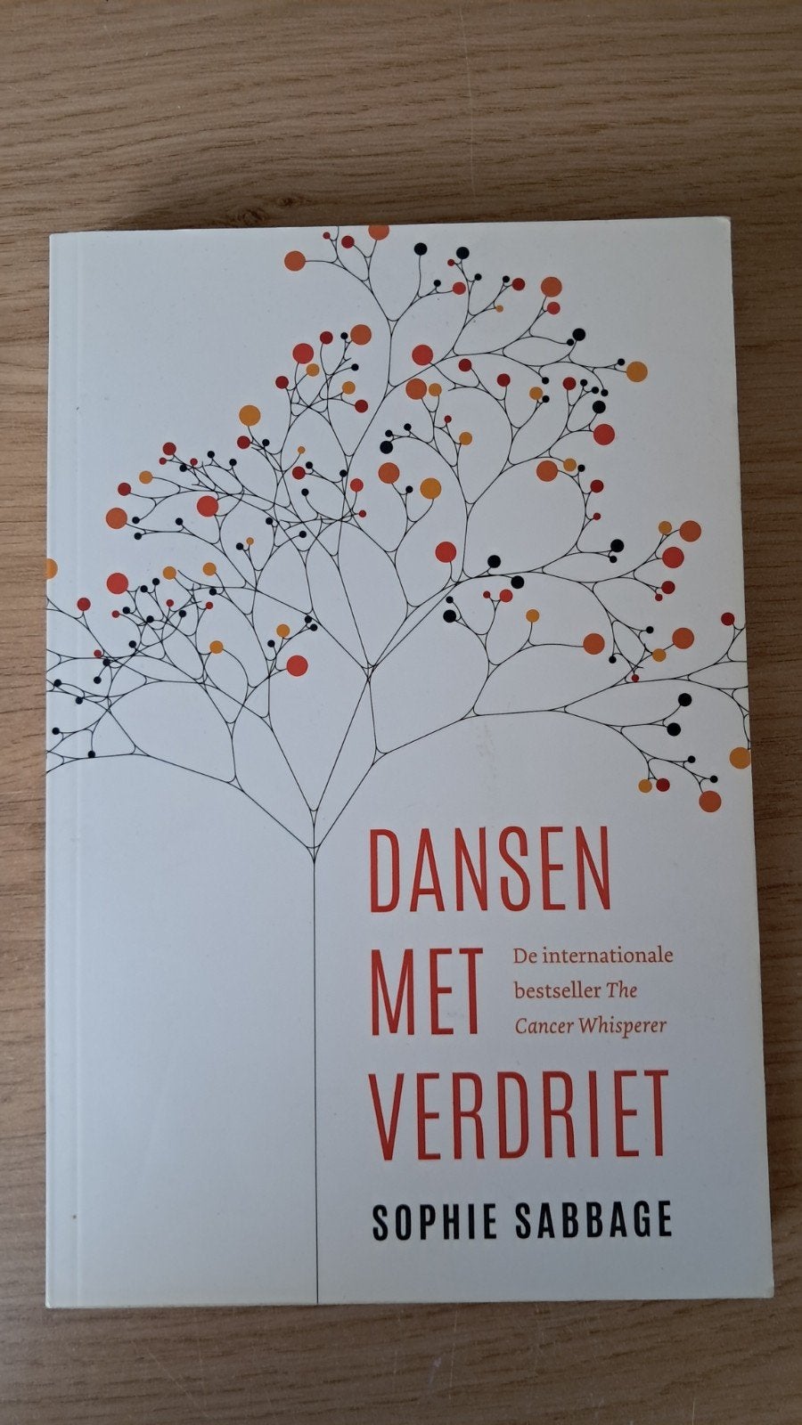 Sophie Sabbage - Dansen met verdriet, Achtergrond en Informatie, Ophalen of Verzenden, Overige onderwerpen, Sophie Sabbage