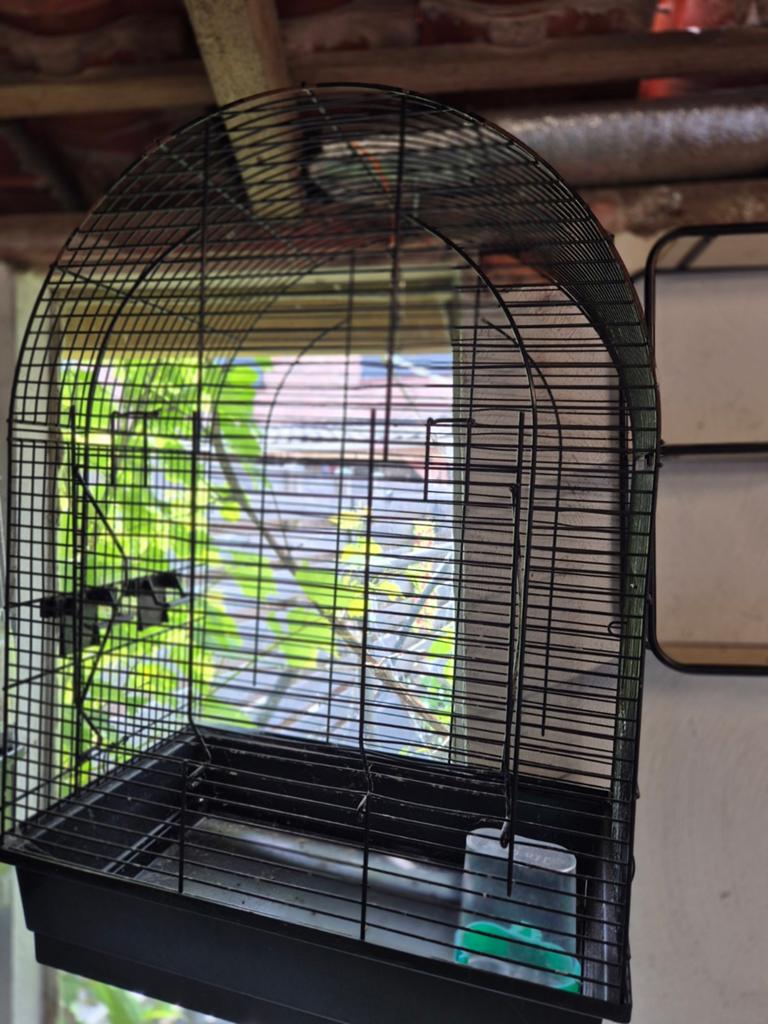Vogelkooi, Dieren en Toebehoren, Ophalen of Verzenden, Zo goed als nieuw, Metaal, Vogelkooi