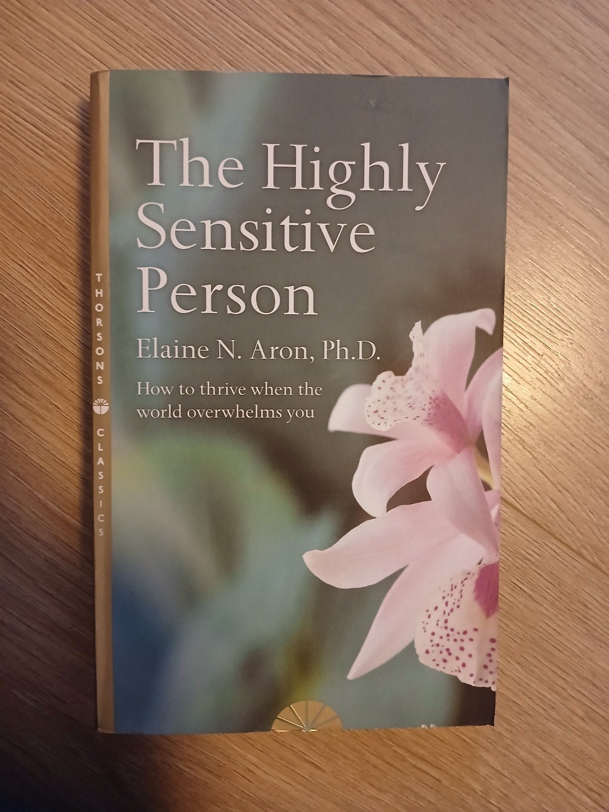The Highly Sensitive Person - Elaine N. Aron, Ophalen of Verzenden, Nieuw, Klinische psychologie, Elaine N. Aron