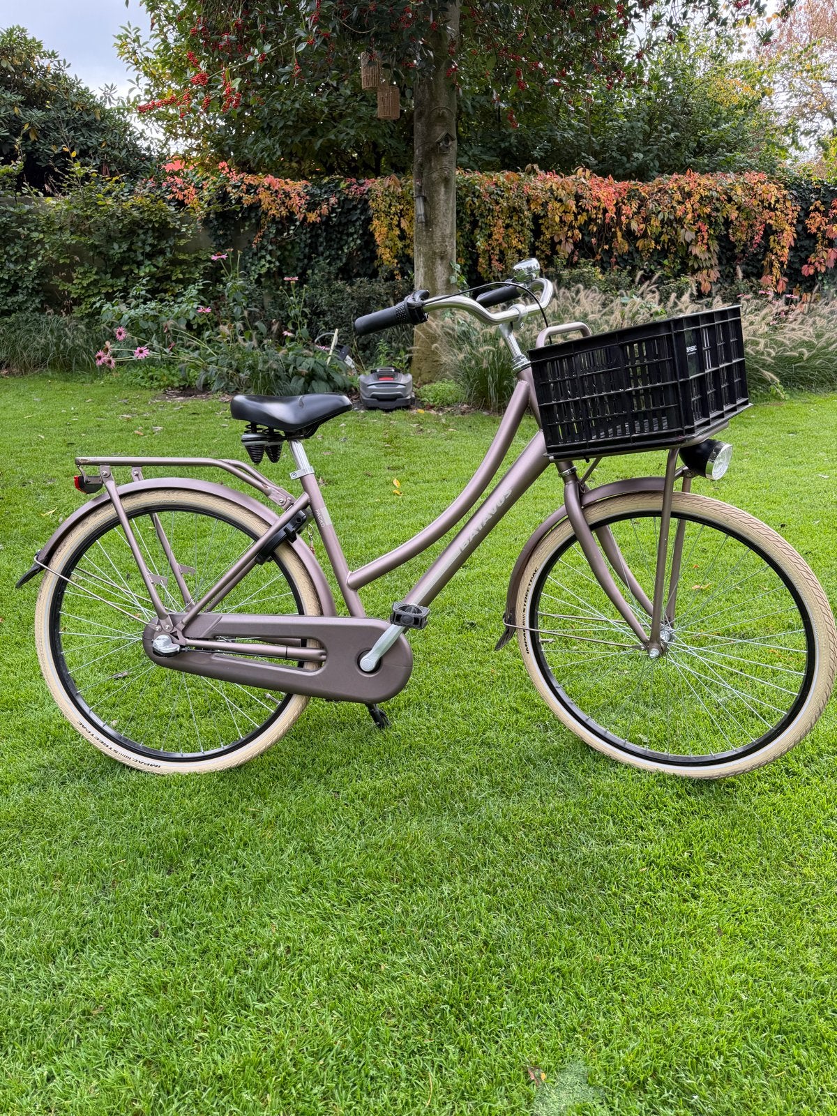 Batavus packd 26 inch rose, Ophalen, Gebruikt, Terugtraprem