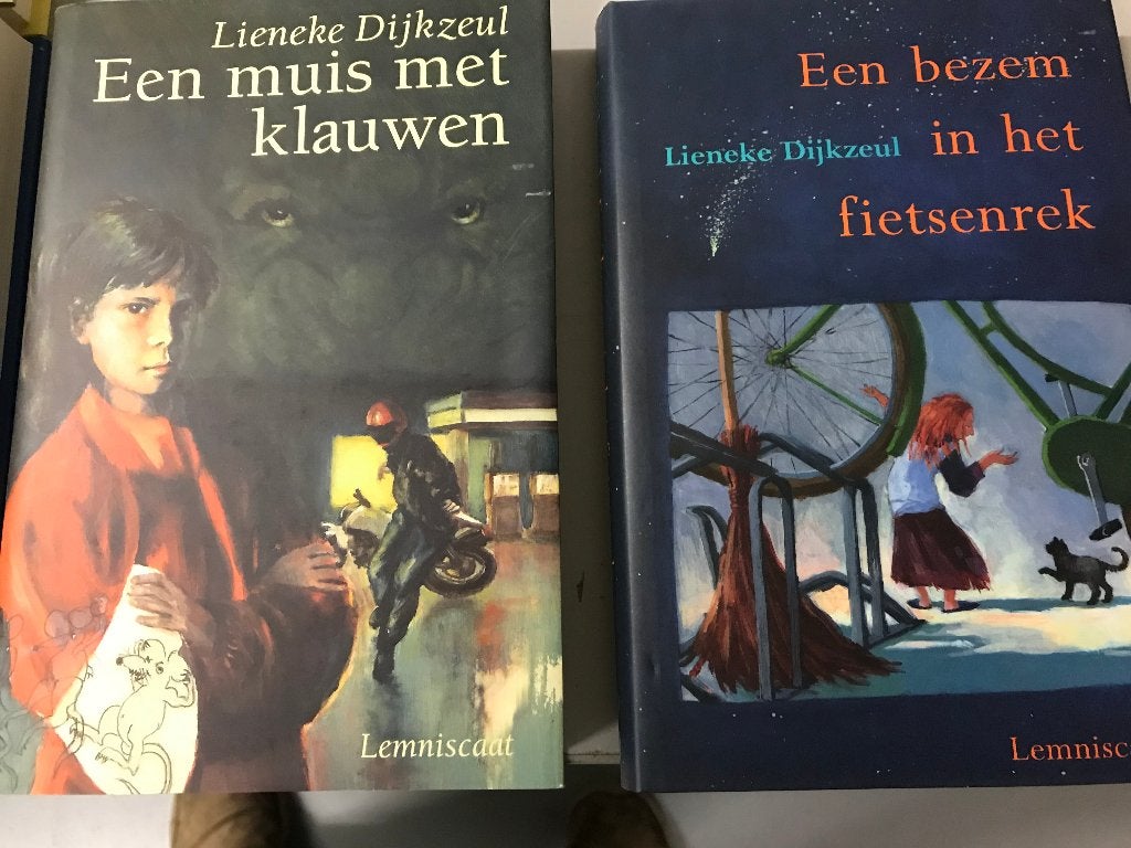 T.K. nog 10 boeken van Lieneke Dijkzeul Zie actuele lijst, Ophalen of Verzenden, Gelezen, Lieneke Dijkzeul, Nederland