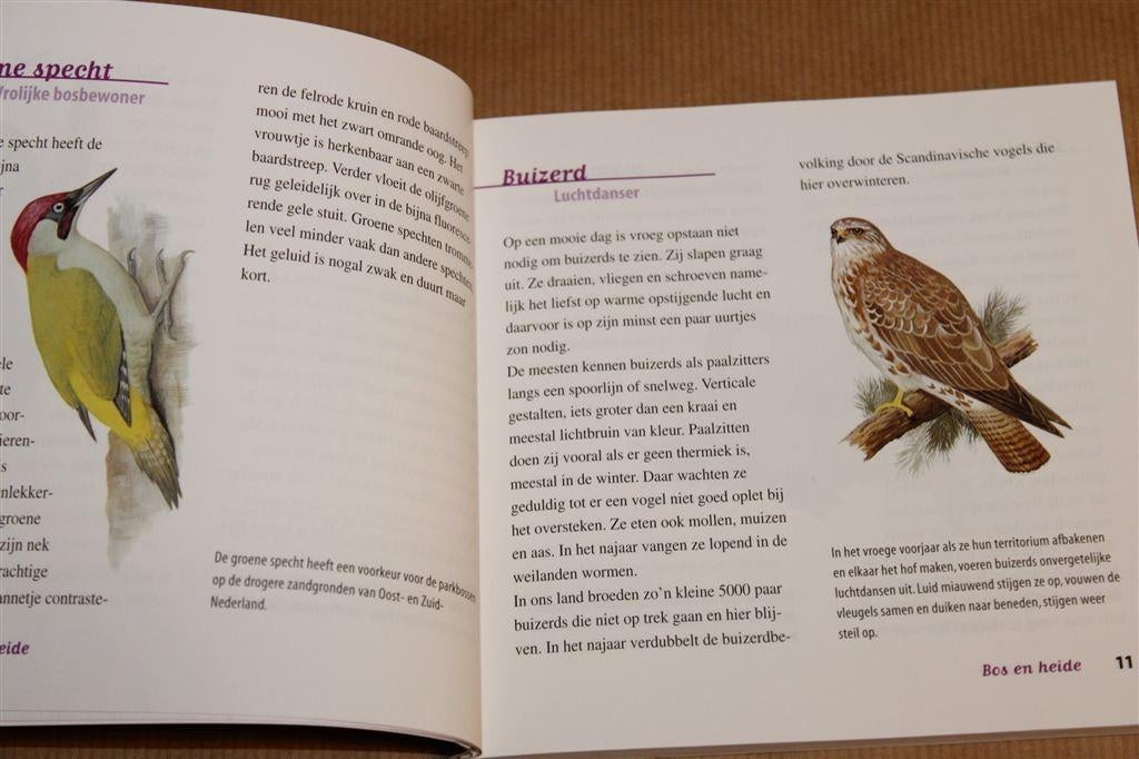 Wat Vliegt Daar? — Vogels In Onze Natuur [Vogelbescherming], Ophalen of Verzenden, Gelezen, Vogels