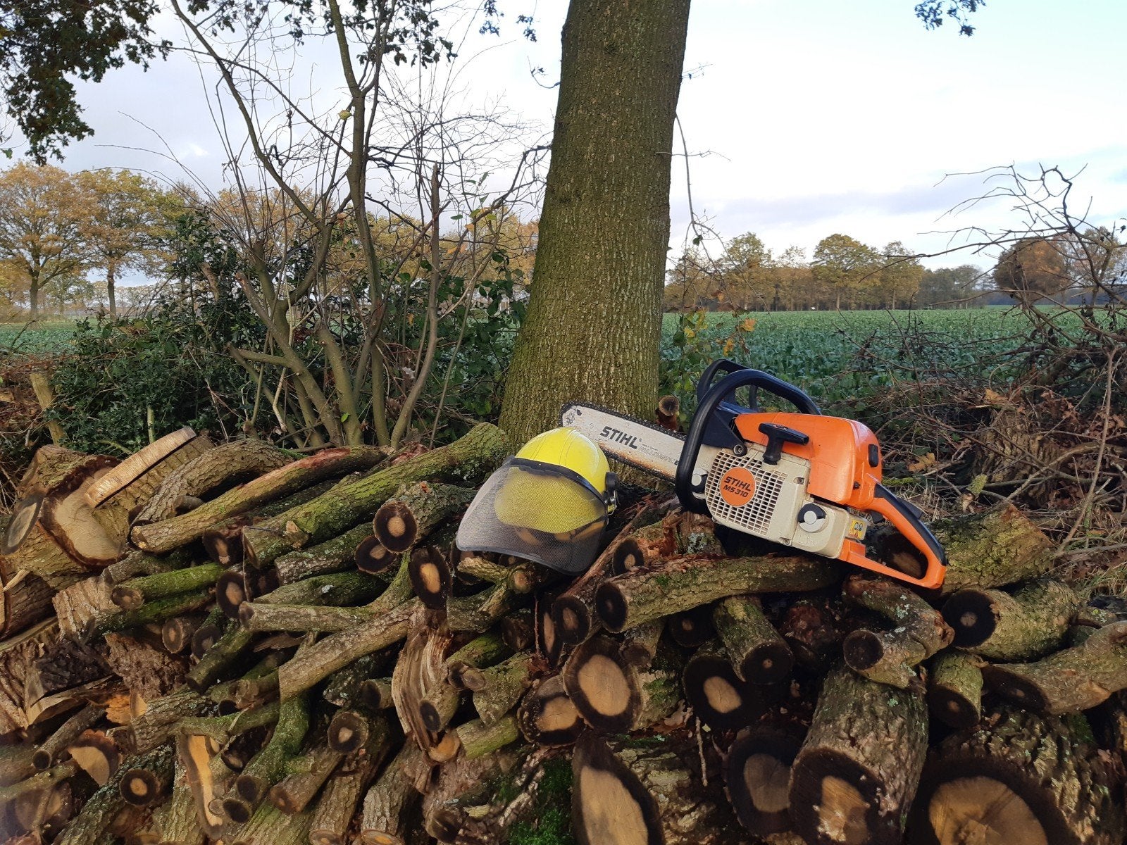 Bomen zagen voor het hout., Eén persoon, Ticket of Toegangskaart