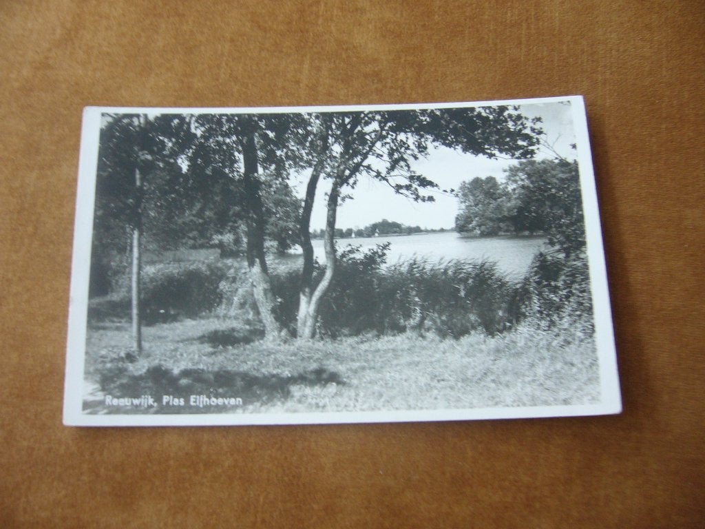 REEUWIJK  =  PLAS ELFHOEVEN, Verzamelen, Ansichtkaarten | Nederland, Ophalen of Verzenden, 1940 tot 1960, Ongelopen