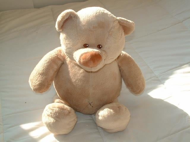 TIAMO BEER BRUNO THE BEAR VELOURS BEIGE MET, Ophalen of Verzenden, Nieuw, Overige typen