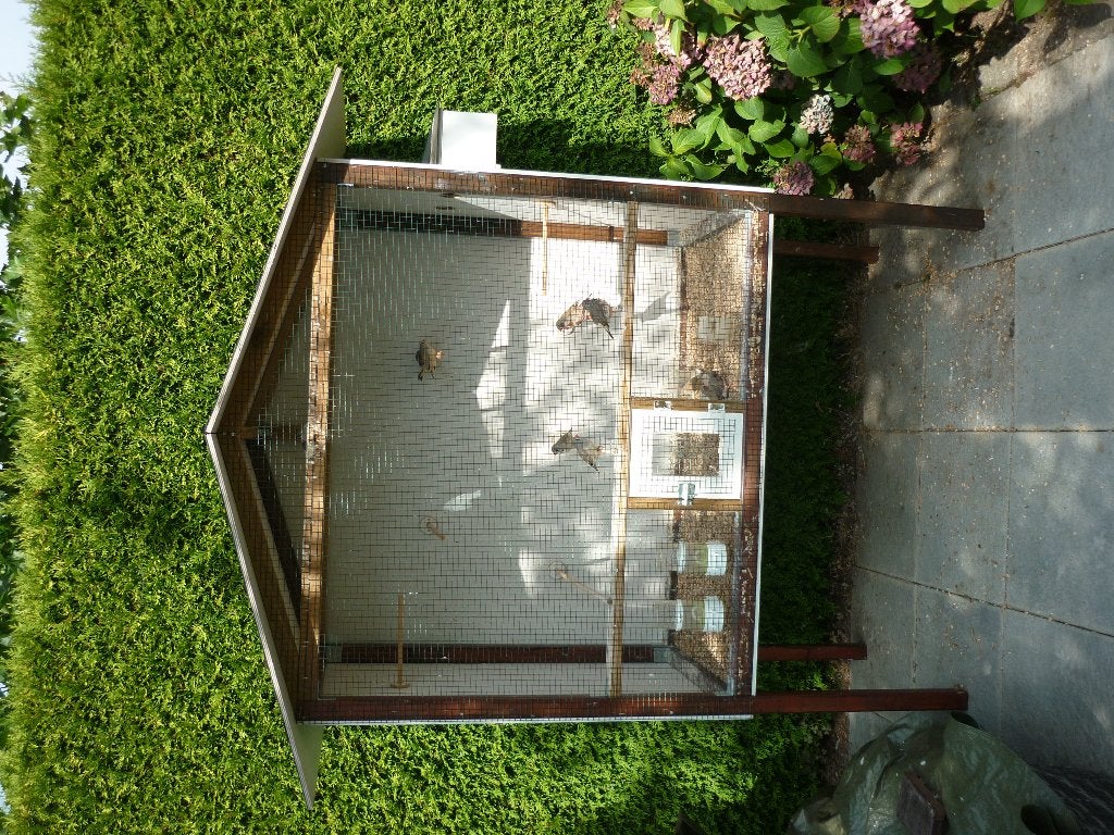 Te koop kleine vogelhok, Ophalen of Verzenden, Gebruikt, Hout, Vogelkooi