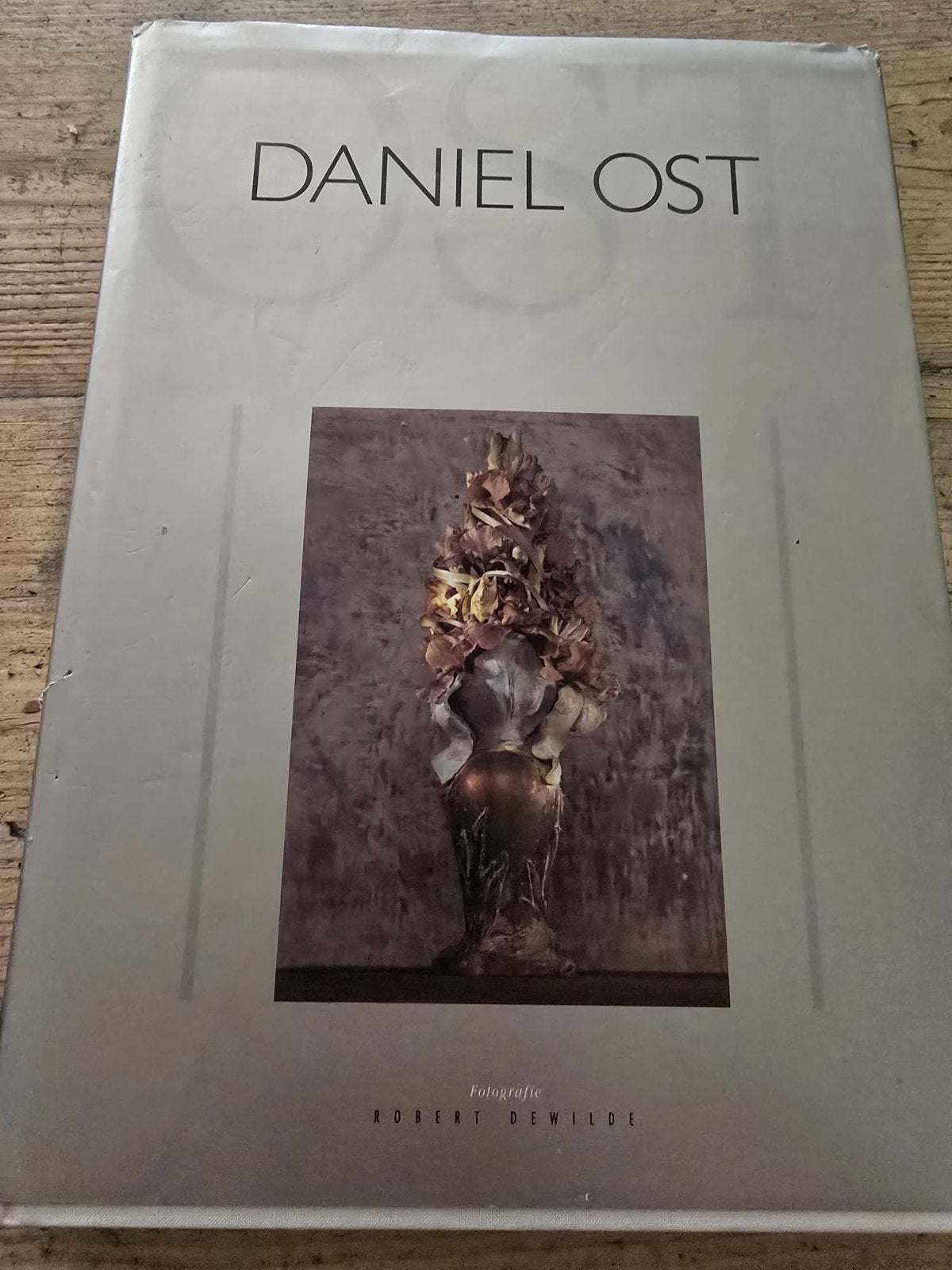 Daniel/ost kunst, Boeken, Ophalen, Zo goed als nieuw