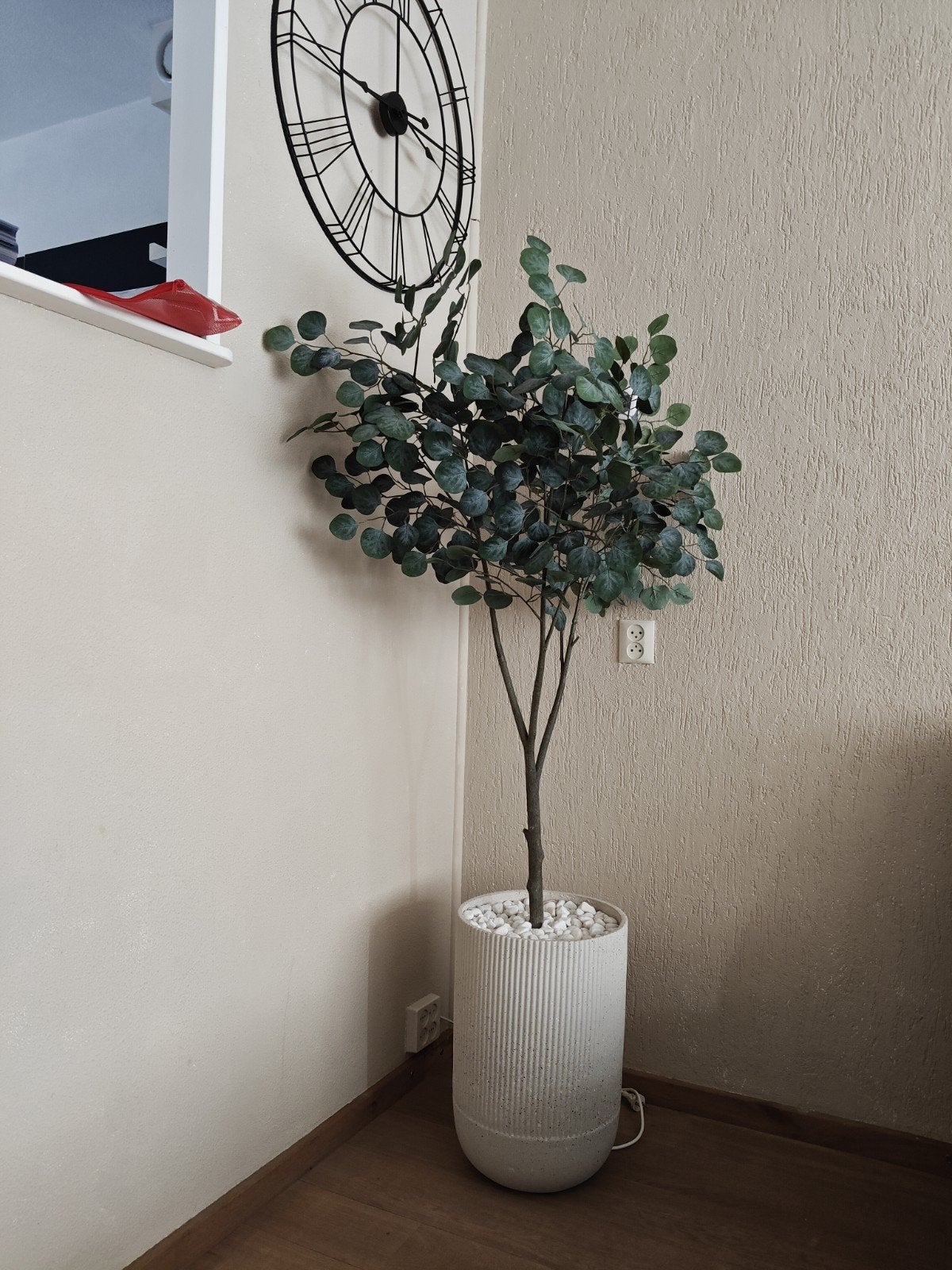 Plant in pot, Ophalen, Zo goed als nieuw