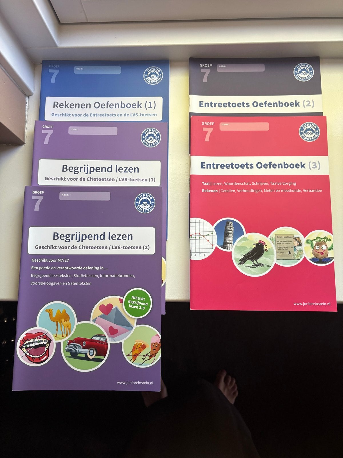 Junior Einstein Oefenboeken (entreetoets) Groep 7 (5 stuks), Ophalen of Verzenden, Zo goed als nieuw, Overige niveaus, Nederlands