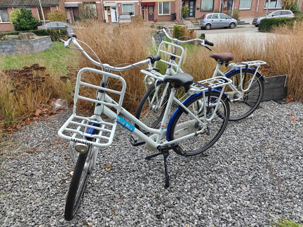 2x Gazelle Miss Grace Transportfiets – Topkwaliteit, Fietsen en Brommers, Fietsen | Dames | Moederfietsen, Dubbele standaard, Ophalen of Verzenden