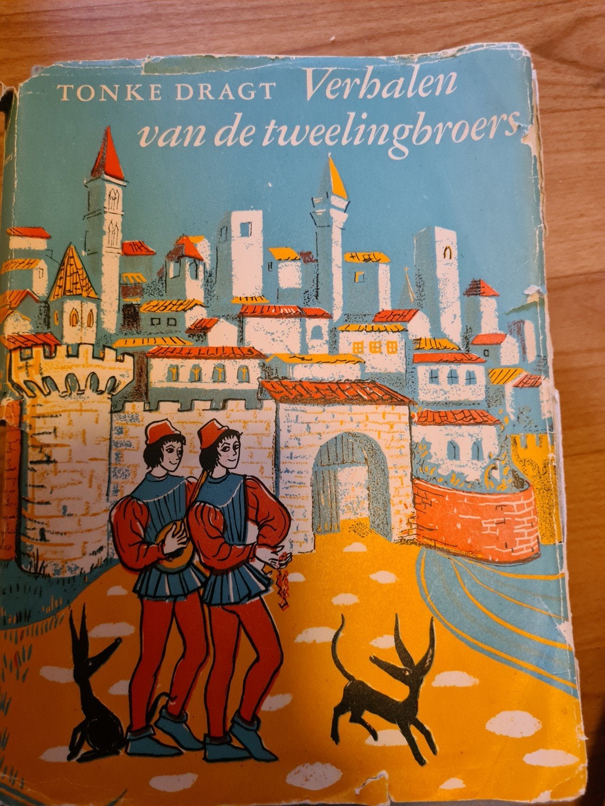 Tonke dracht verhalen van de tweelingbroers, Ophalen of Verzenden, Gelezen