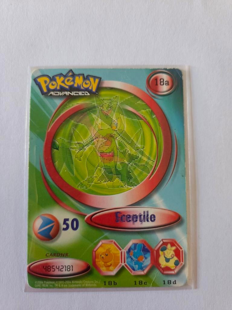 Pokémon Advanced Fox Kids Kaart 2004 - Sceptile, Ophalen of Verzenden, Gebruikt, Losse kaart, Foil