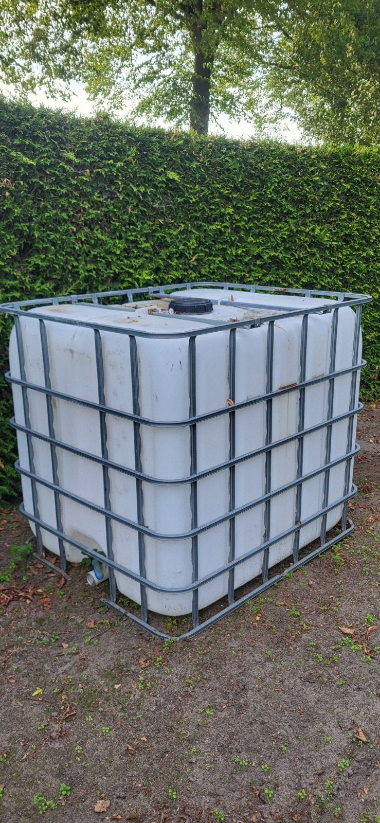 IBC container 1000 liter zonder pallet, 150 liter of meer, Ophalen of Verzenden, Gebruikt