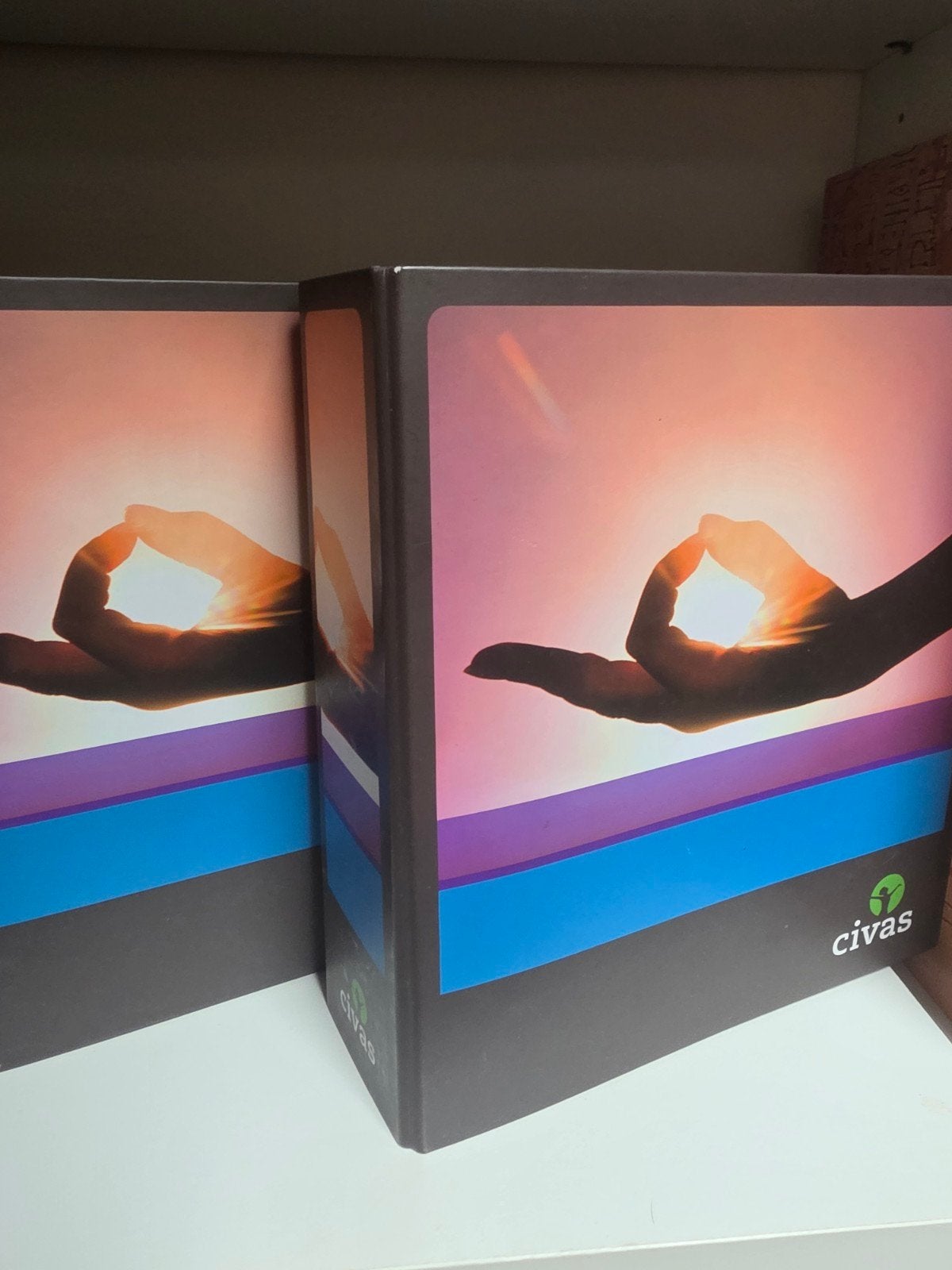 Cognitieve Gedragstherapie Civas - deel I & Deel II, Boeken, Civas, Zo goed als nieuw, Gamma, HBO