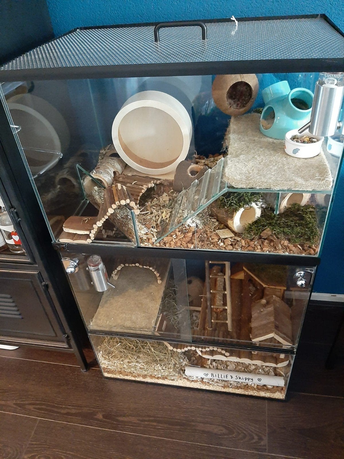 Glazen terrarium voor gerbils of muisachtigen 60x40x100cm, Ophalen, Gebruikt, Fret, Minder dan 75 cm