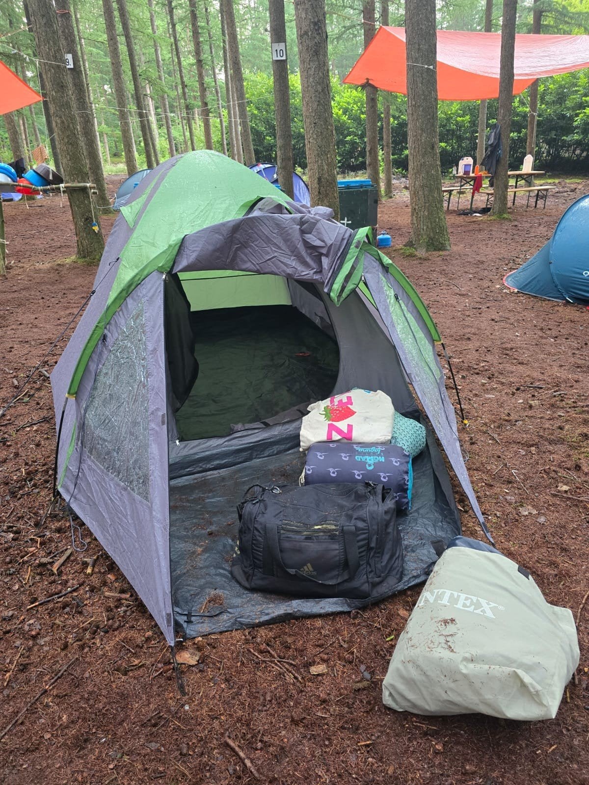 Wildebeast 300 Green Tent, Caravans en Kamperen, Ophalen of Verzenden, Zo goed als nieuw, Tot en met 2