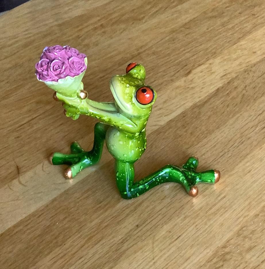 Kikker met bloemetje, Ophalen of Verzenden, Zo goed als nieuw