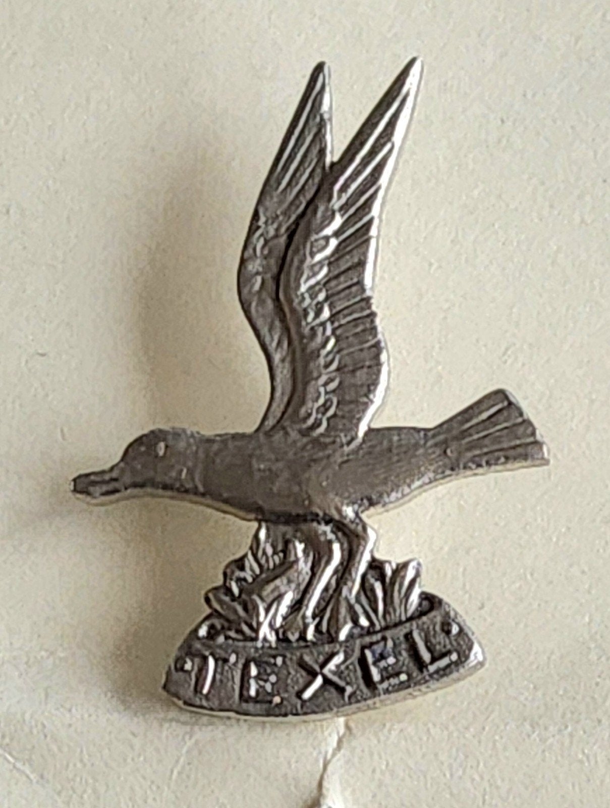 Vintage Speldje Texel met Vliegende Vogel, Ophalen of Verzenden, Gebruikt, Overige onderwerpen, Speldje of Pin