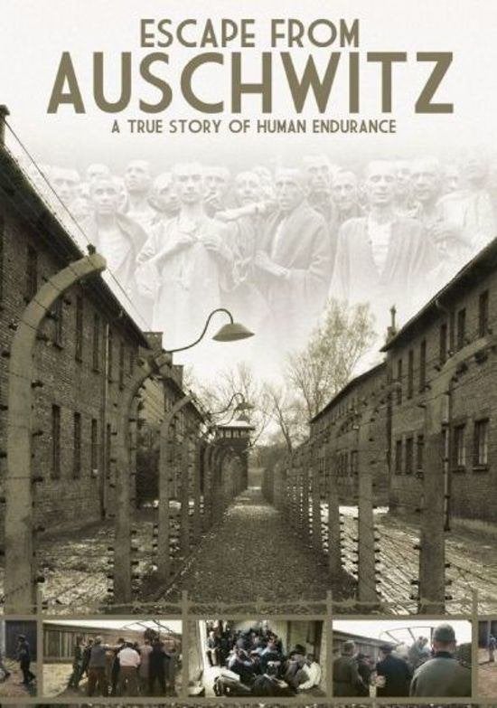 Escape from Auschwitz-S.Pertwee/y.bauer/WWII/WO2 DVD Nw/Verz, Vanaf 12 jaar, Ophalen of Verzenden, Nieuw in verpakking, Oorlog of Misdaad