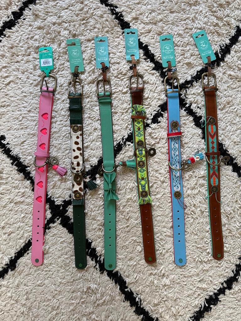 Dog With A Mission Honden Halsbanden L4, Nieuw, Collars, Ophalen of Verzenden, Nieuw