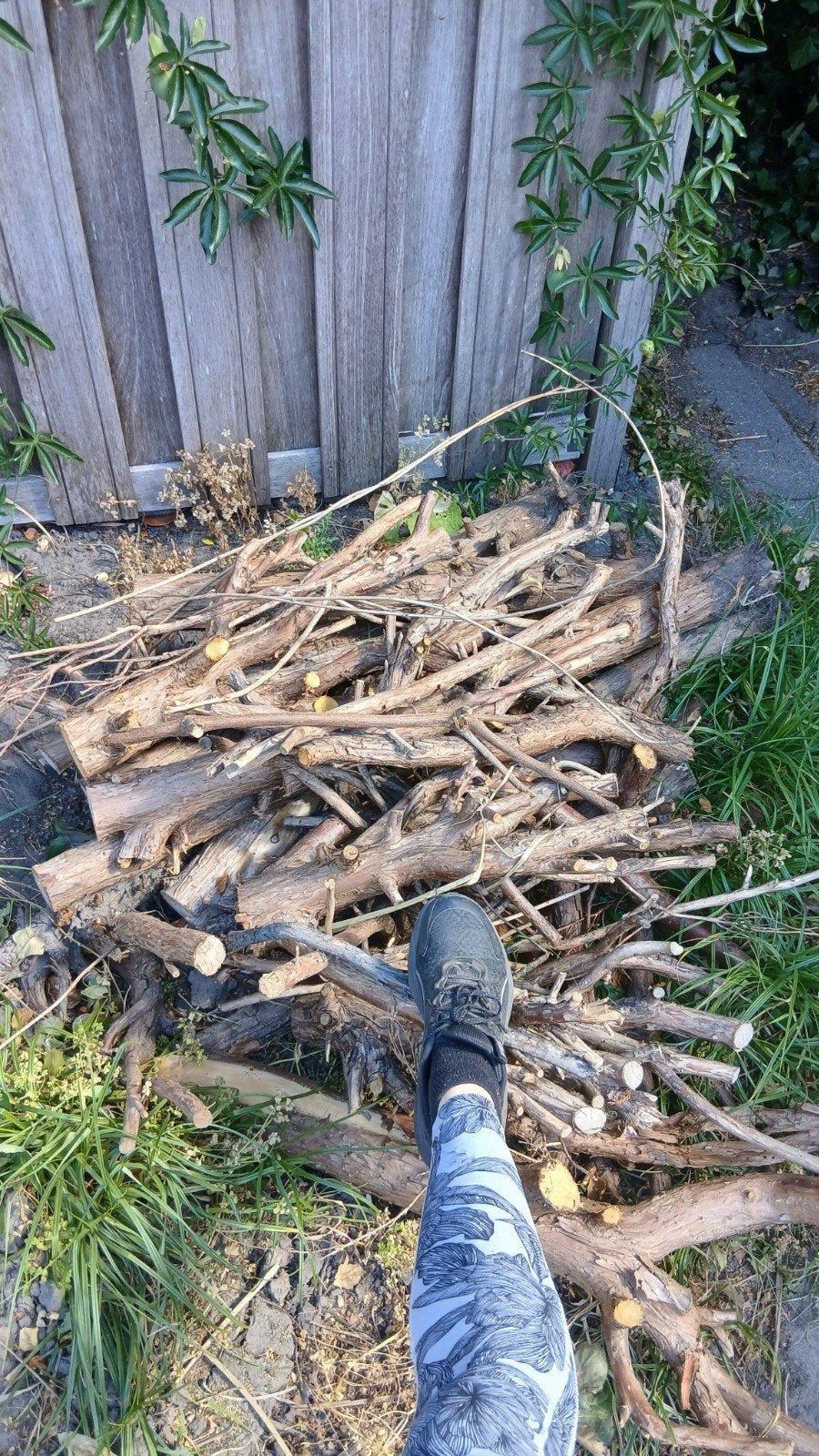 Gratis droog hout - bv voor vuur, Minder dan 3 m³, Ophalen