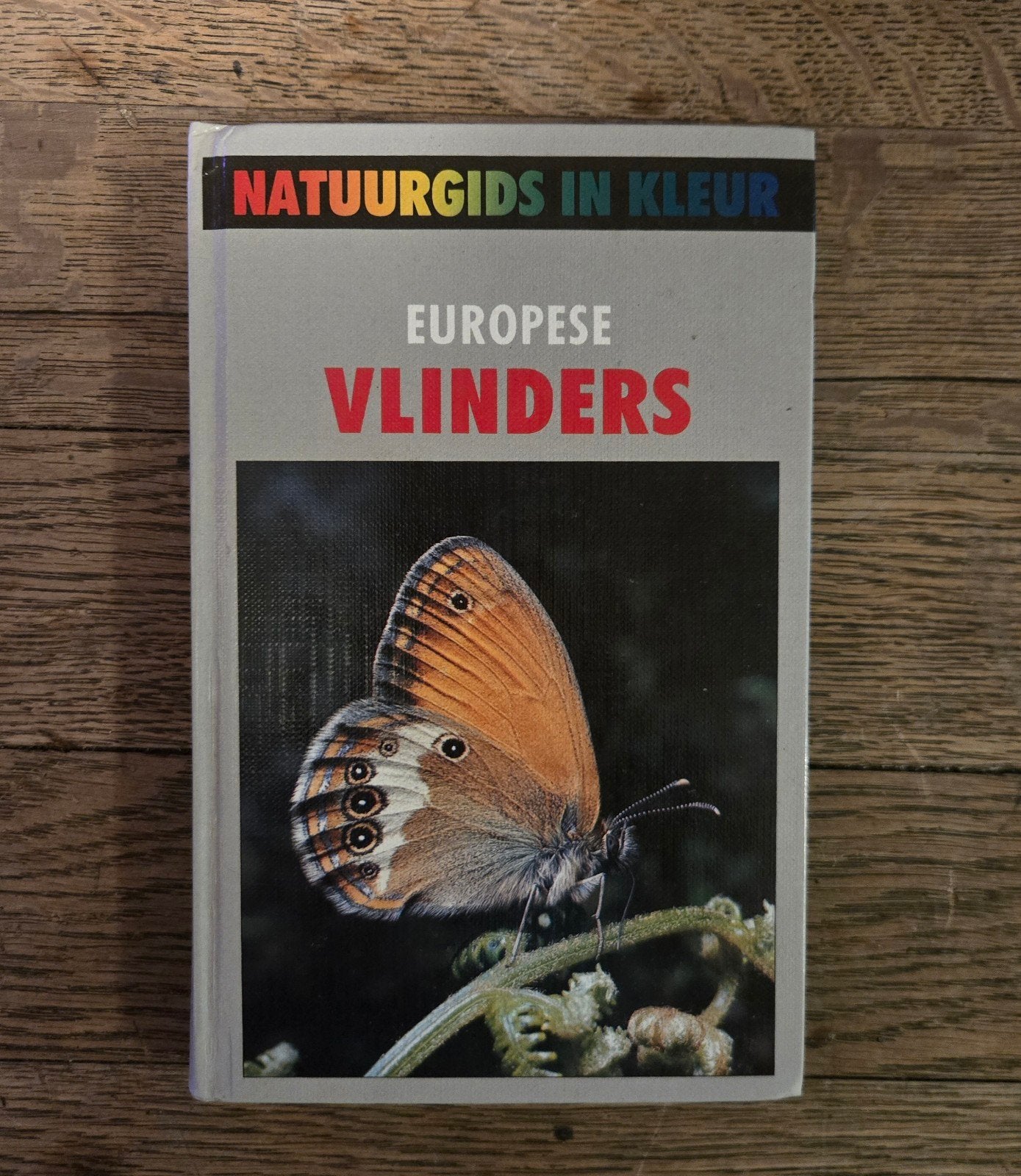 Natuurgids Vlinders - Dr. H. Reichholf-Rie, Boeken, Ophalen of Verzenden, Gelezen, Natuur algemeen, Dr. H. Reichholf-Riehm, G. Steinbach, Dr. J. Reichholf