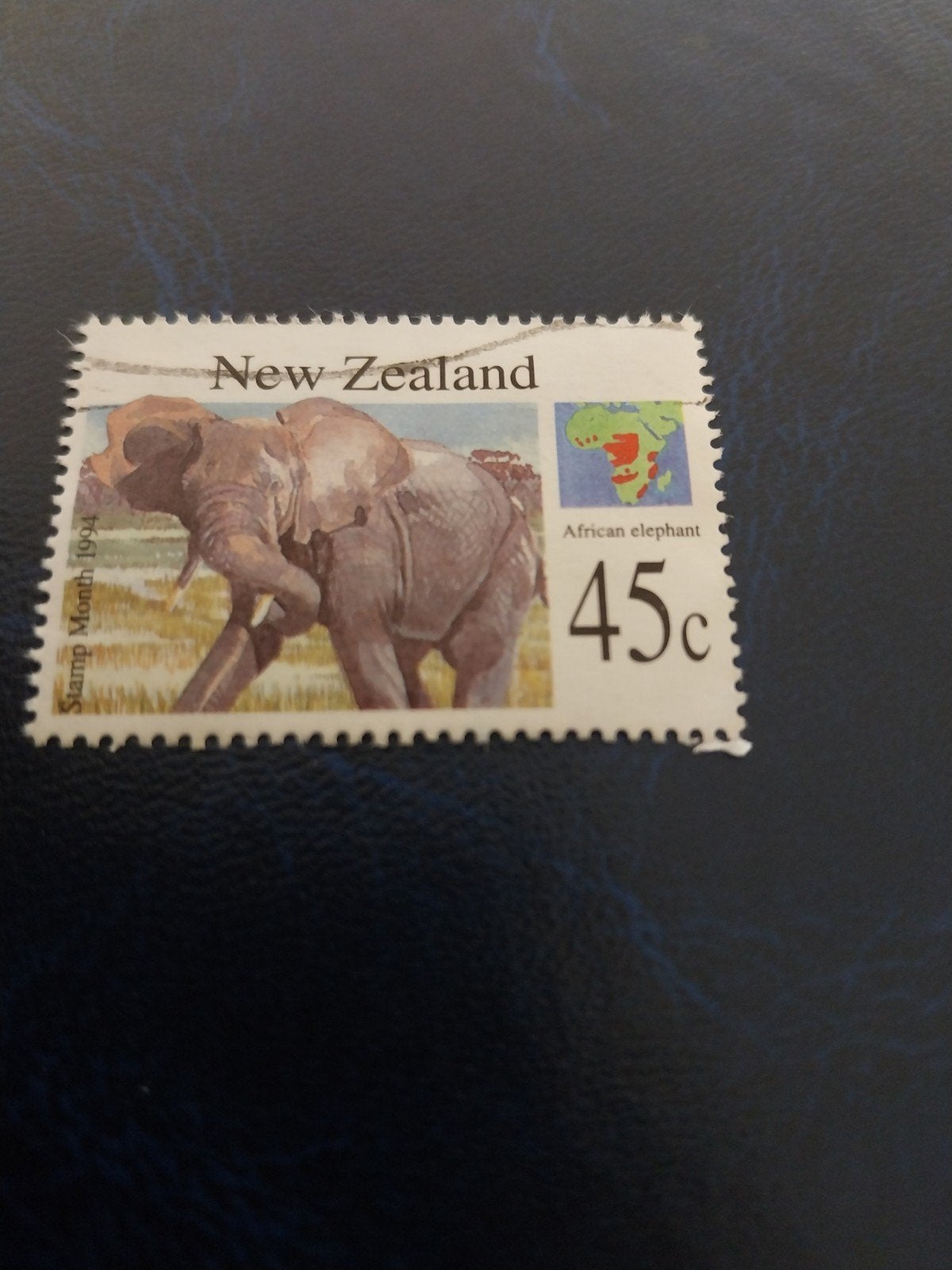 NZ elephant, Ophalen of Verzenden