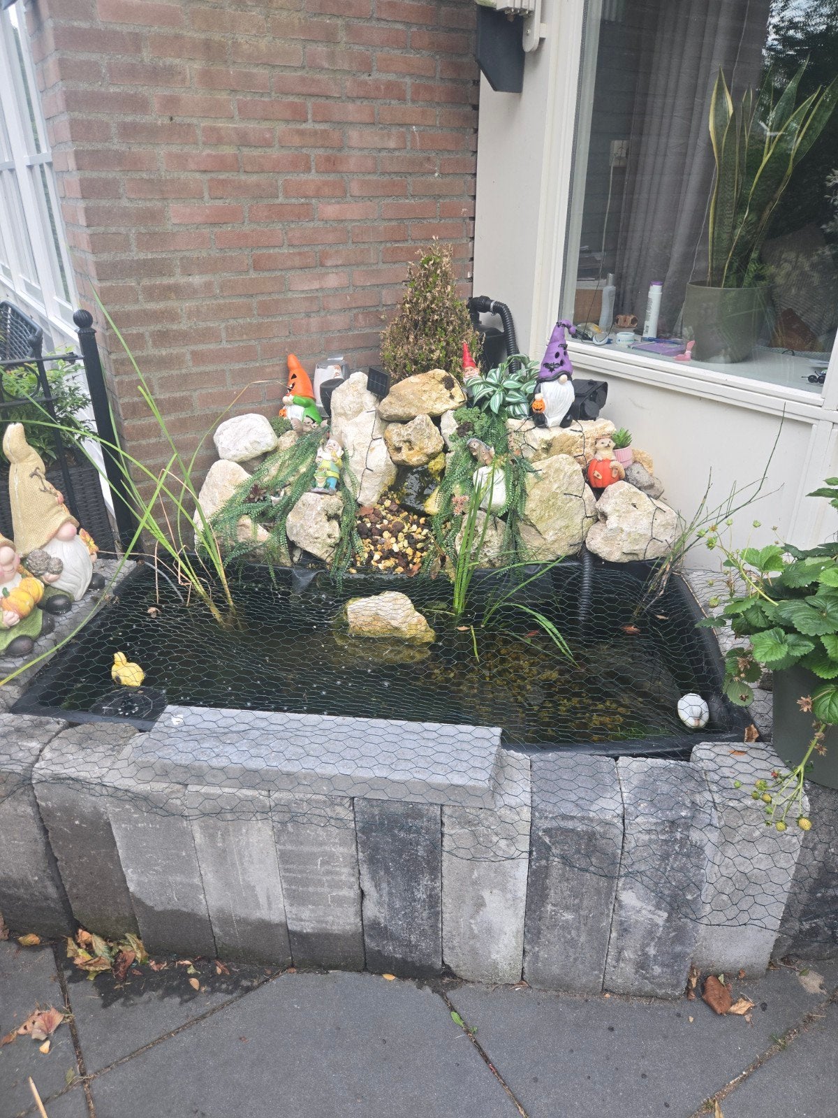 Vijver met vissen en pomp, Tuin en Terras, Ophalen