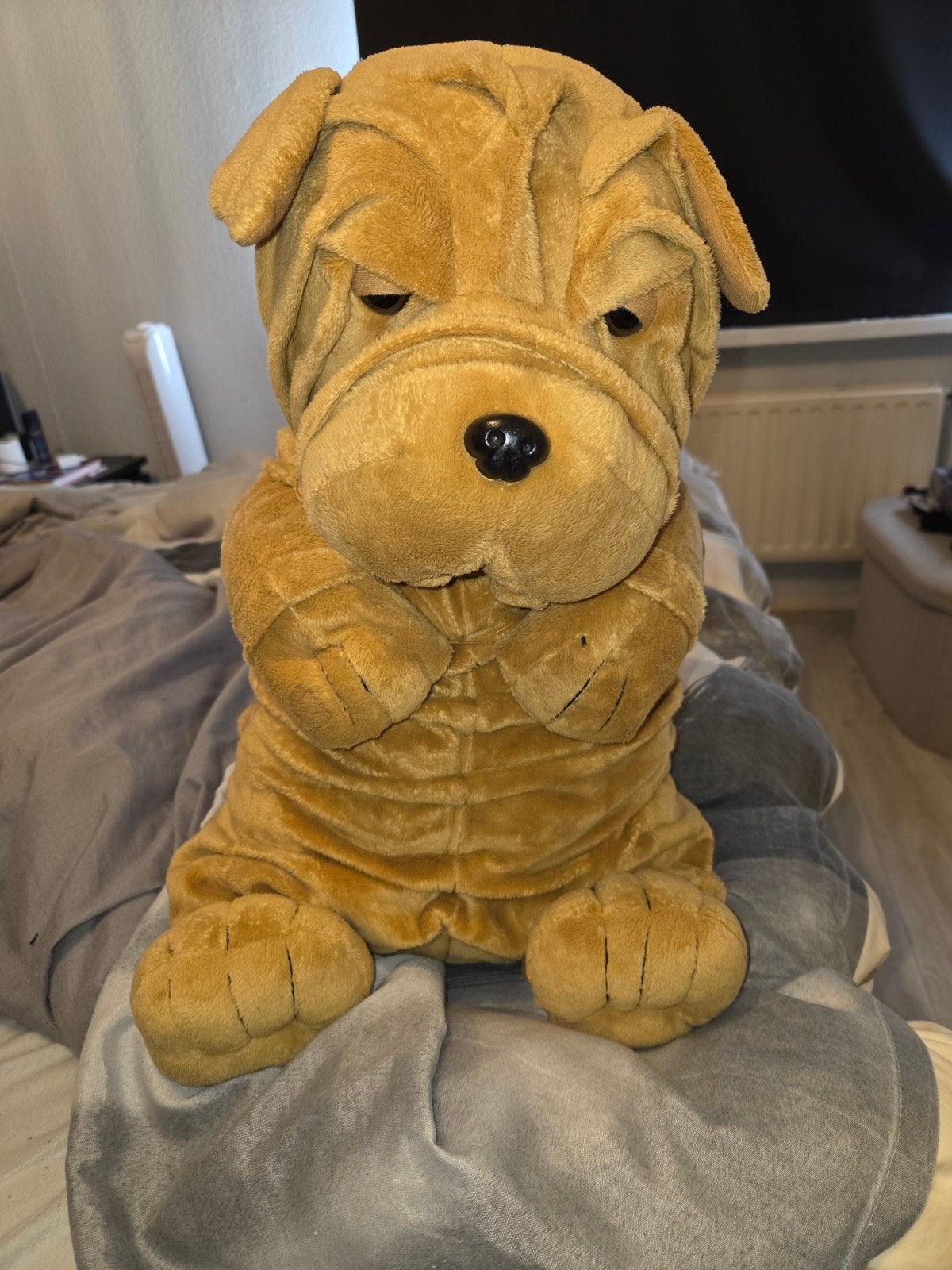 Grote Shar Pei knuffel - goede staat, Ophalen, Hond, Zo goed als nieuw, Middelgroot (20 tot 80 cm)
