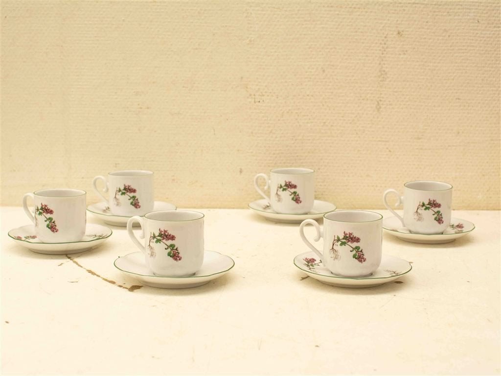 12 delig Leftmann Weiden bavaria porseleinen kop en schotelt, Gebruikt, Ophalen of Verzenden, Bord(en), Wedgwood