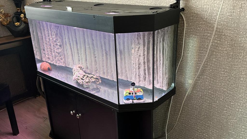 Aquarium 120x40x50 met jbl chrystalprofi e1502 en verwarming, Ophalen of Verzenden, Zo goed als nieuw, Leeg aquarium