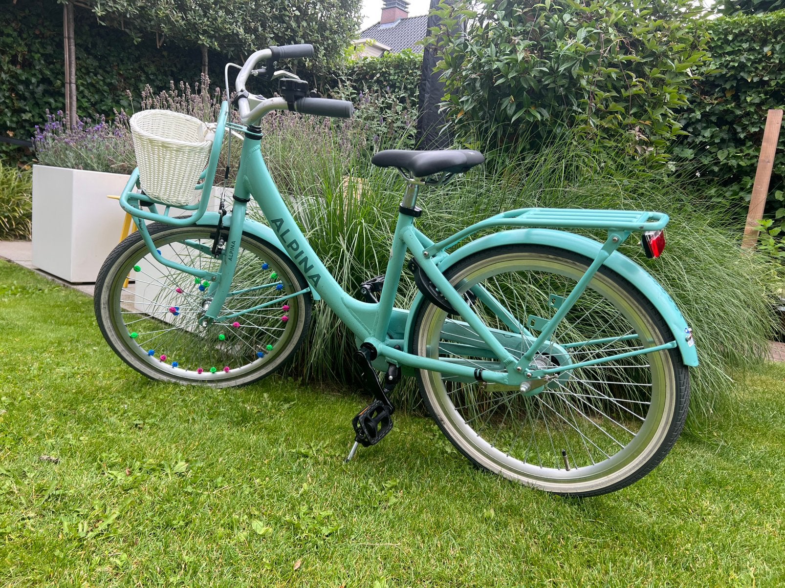 Mooie 22 inch meisjesfiets Alpina Soft mint matt, Ophalen, Terugtraprem, 22 inch, Gebruikt