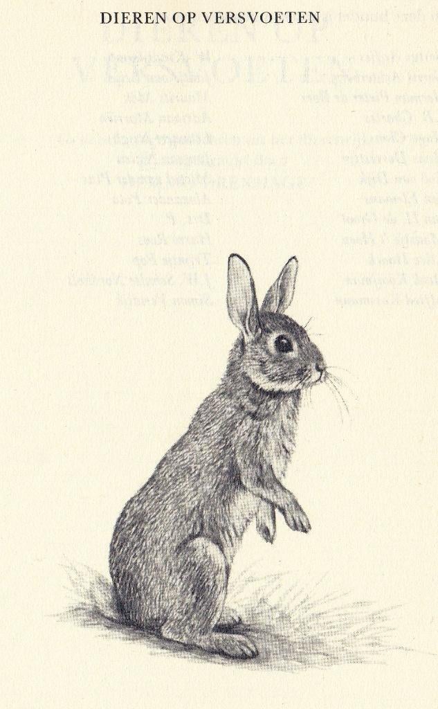 Drexhage, Hemmo (red.) - Dieren op versvoeten (1985), Verzenden, Nieuw