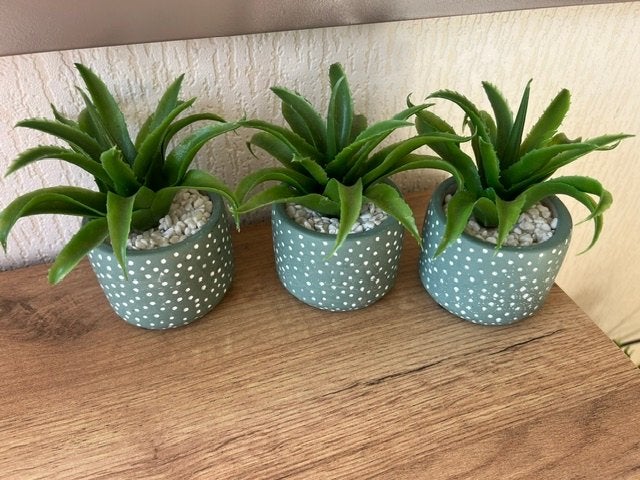 Drie mini cactussen in stenen potjes, Ophalen of Verzenden, Zo goed als nieuw, Groen, Steen/keramiek