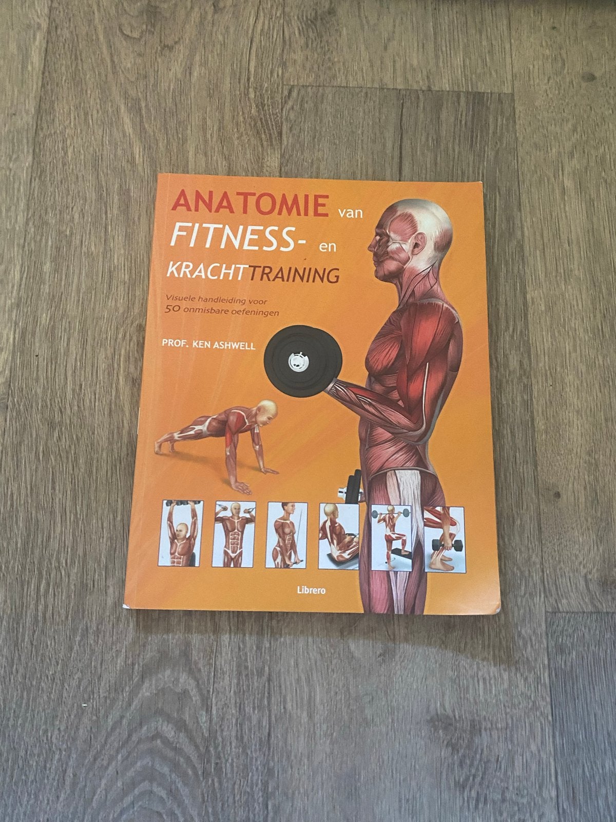 Anatomie van Fitness- en Krachttraining - Ken Ashwell, Ophalen of Verzenden, Beta, Gelezen, HBO