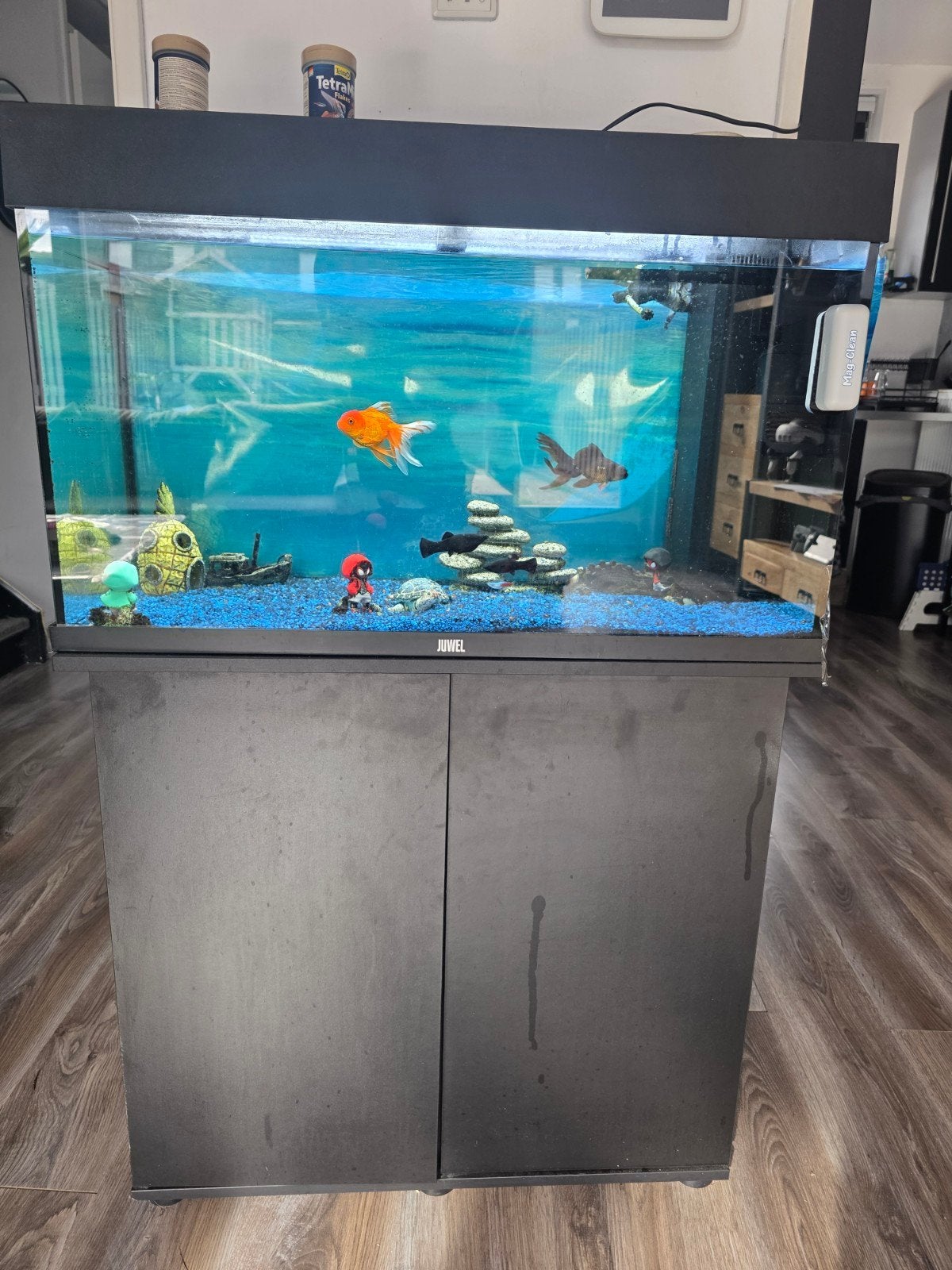 juwel Rio 125 compleet met vissen, Ophalen, Gebruikt, Inclusief deksel, Gevuld zoetwateraquarium