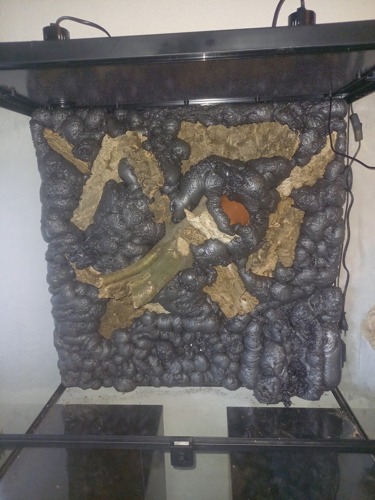 terracraf reptiles compleet ingerichte terrariums, Ophalen, Nieuw, Terrarium of Paludarium