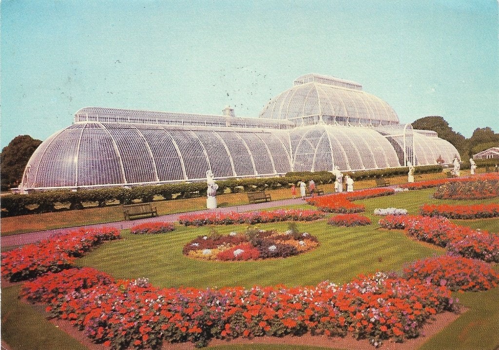 Ansichtkaart  Londen 	Royal Bototanical Gs, Kew	 	Palm House, Verzenden, 1960 tot 1980, Gelopen, Buiten Europa