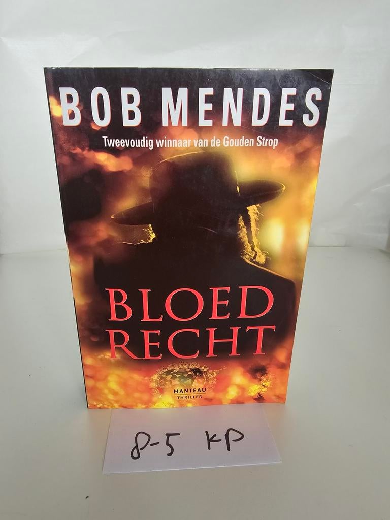 Bloed Recht - Bob Mendes (Thriller), Ophalen of Verzenden, Gelezen, Bob Mendes, België
