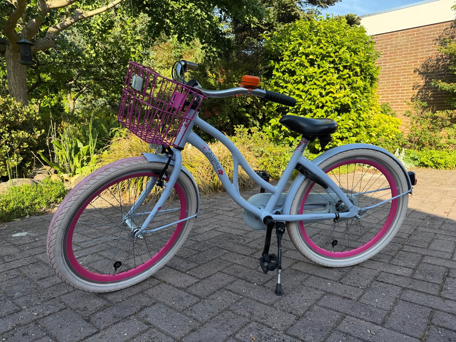 Alpina Ocean Meisjesfiets 22 inch, Ophalen, 22 inch, Gebruikt, Alpina
