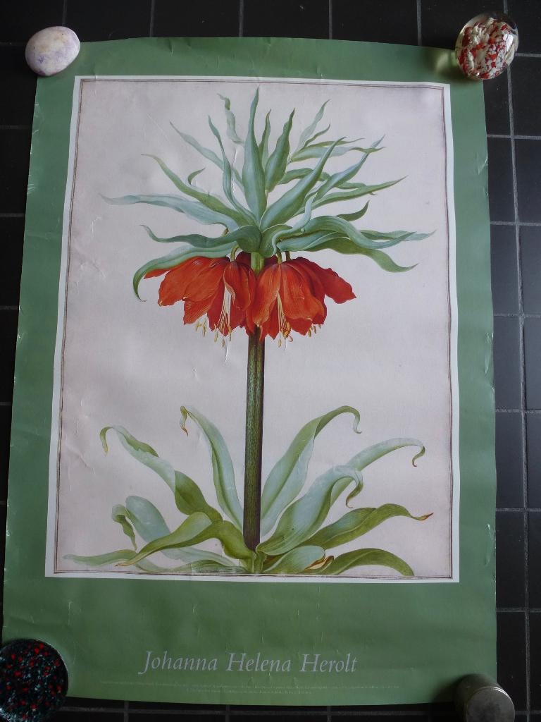 poster Johanna Helena Herolt, Rechthoekig Staand, Ophalen of Verzenden, Zo goed als nieuw, A1 t/m A3