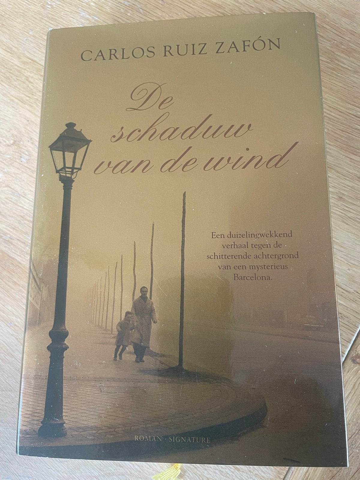 De schaduw van de wind - Carlos Ruiz Zafón, Ophalen of Verzenden, Zo goed als nieuw, Nederland