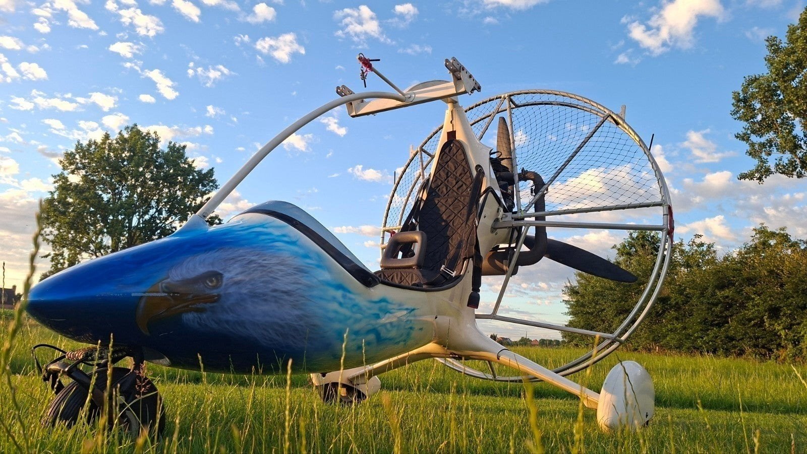 Unieke  paramotor  trike met Adelaar- Design, Sport en Fitness, Zweefvliegen en Paragliding, Ophalen of Verzenden, Nieuw, Gemotoriseerd