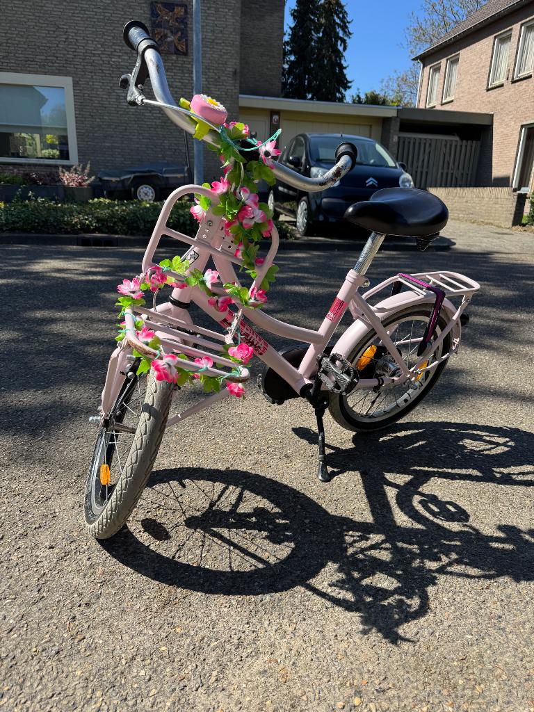 Kinderfiets meisje Alpina Cargo 16 inch, Ophalen, Terugtraprem, Zijwieltjes, Alpina