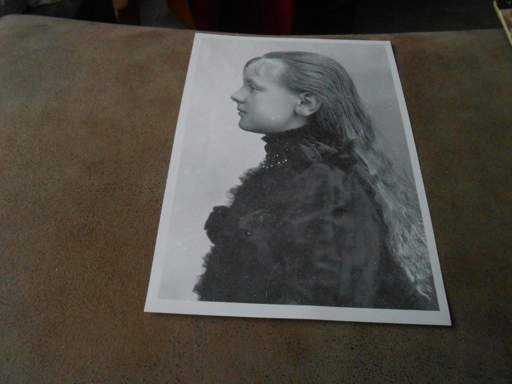 KONINGIN WILHELMINA, Ophalen of Verzenden, Zo goed als nieuw, Nederland, Kaart, Foto of Prent