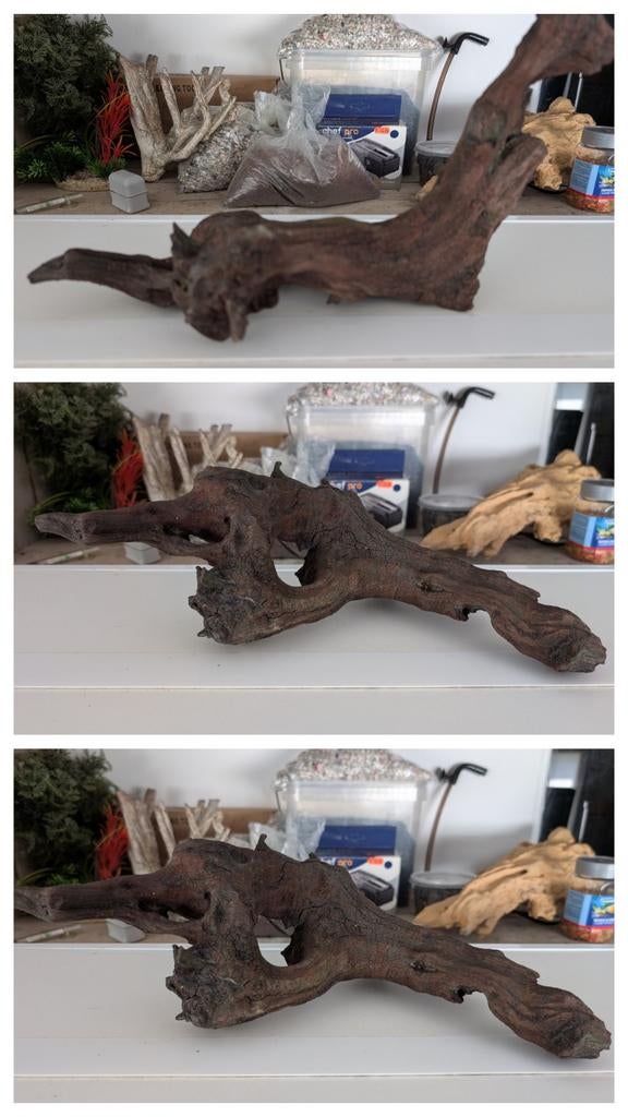 Kienhout voor aquarium te koop zie alle advertenties, Ophalen of Verzenden, Nieuw, Plant(en), Steen of Hout
