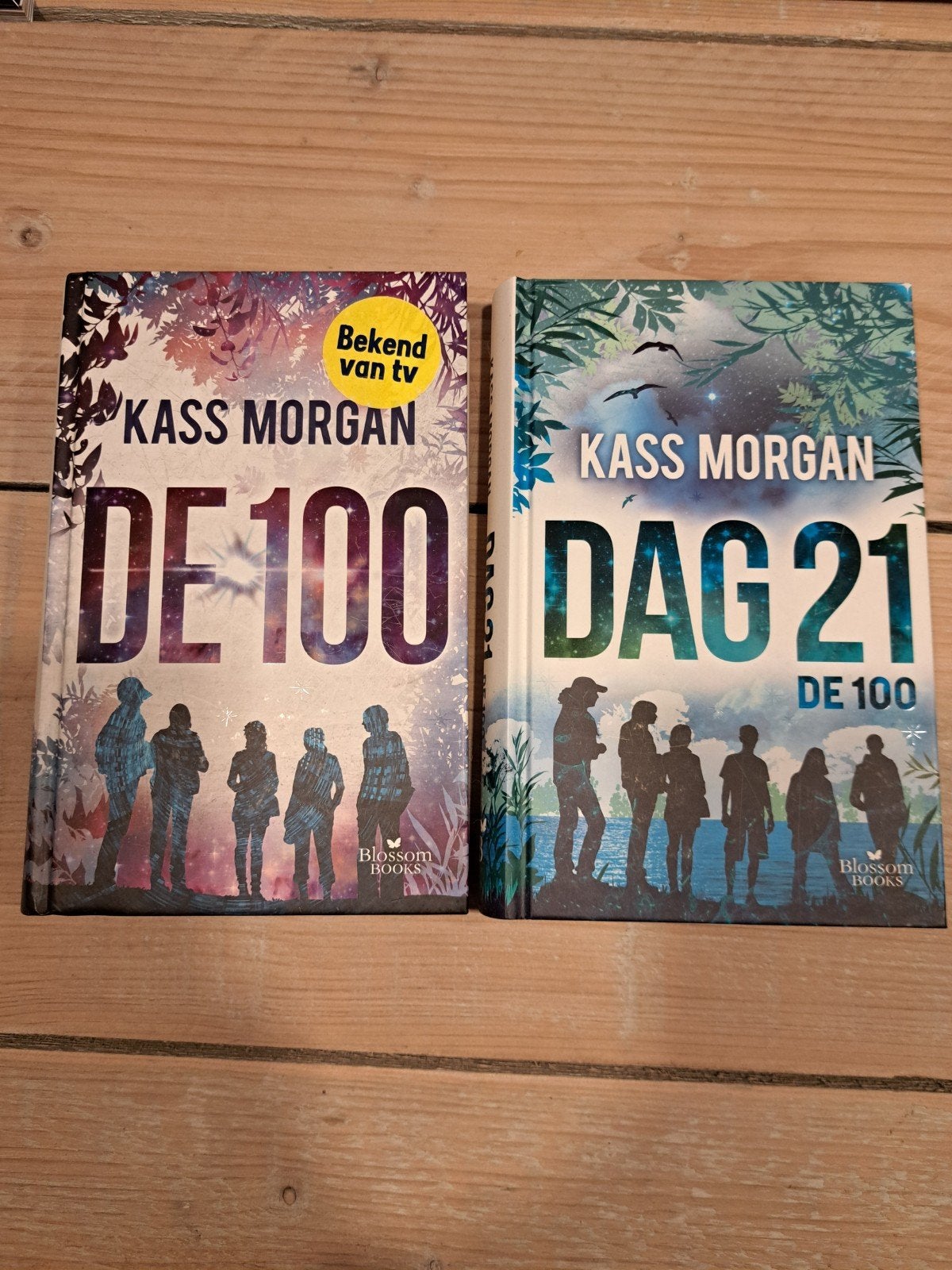 De 100 & Dag 21 - Kass Morgan (Bekend van tv), Boeken, Ophalen of Verzenden, Zo goed als nieuw, Kass Morgan, Nederland